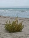 horme, coppia scambista per incontri di sesso e scambio coppie in Bari, foto