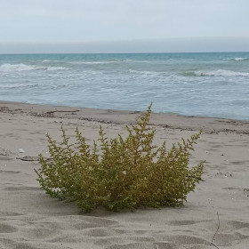 horme, coppia scambista per incontri di sesso e scambio coppie in Bari, foto