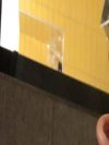 Nader123, uomo cerca donne o coppie per incontri di sesso in Milano, foto