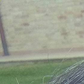 Frankzappa969, uomo cerca donne o coppie per incontri di sesso in Teramo, foto
