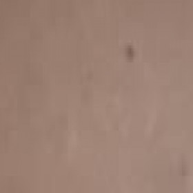 Robbyrobby, uomo cerca donne o coppie per incontri di sesso in Roma, foto