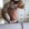 MasterSquirt1985