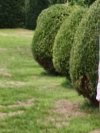 Elmuto, coppia scambista per incontri di sesso e scambio coppie in Livorno, foto
