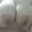 Fenixcouple