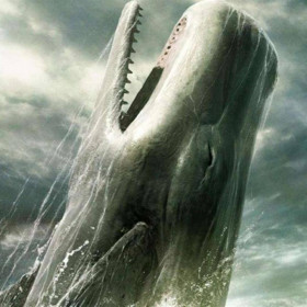 MobyDicK, uomo cerca donne o coppie per incontri di sesso in Bari, foto