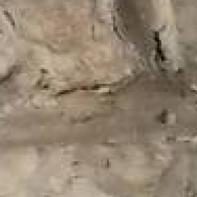 Daniele 74, uomo cerca donne o coppie per incontri di sesso in Lucca, foto
