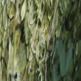 JaxTara, coppia scambista per incontri di sesso e scambio coppie in Pisa, foto