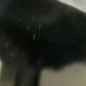 Vins921, uomo cerca donne o coppie per incontri di sesso in Milano, foto