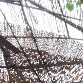 Sempreliberi, coppia scambista per incontri di sesso e scambio coppie in Bari, foto
